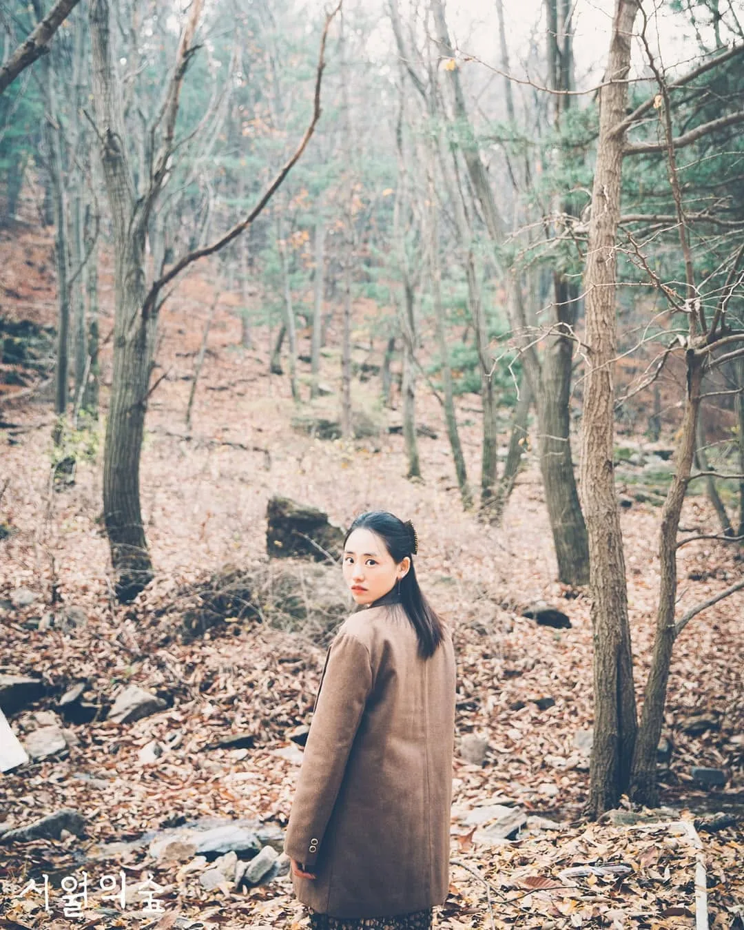 시월의숲 사진 3