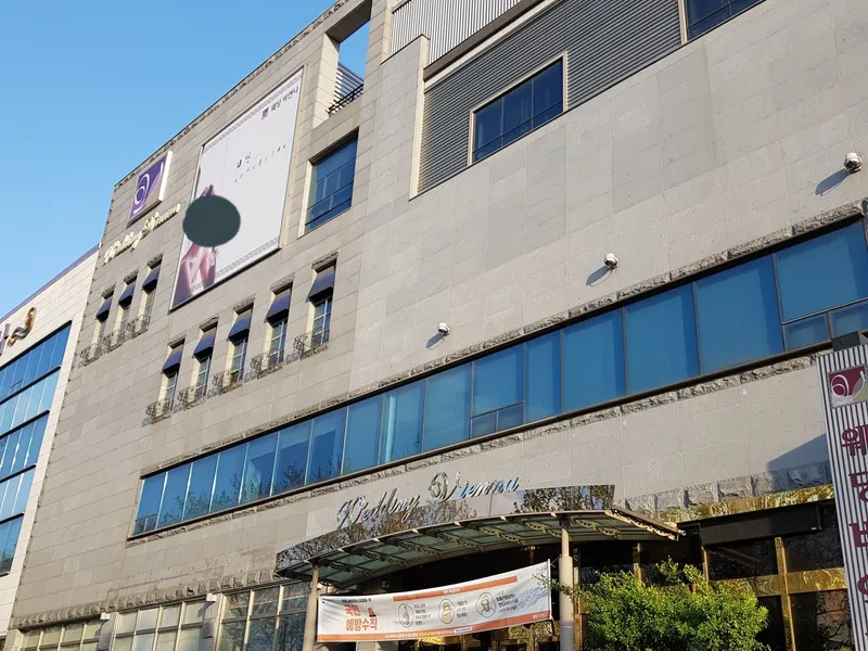 웨딩비엔나 사진 4