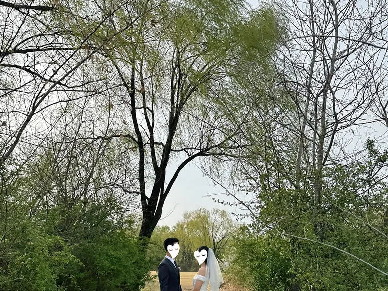 숨고 수연이모 웨딩헬퍼 사진 4