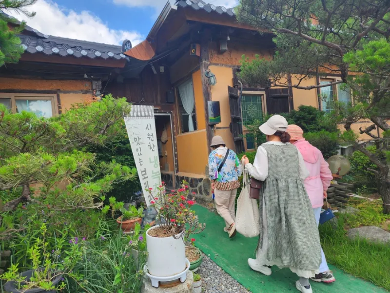 다솜차반 사진 1
