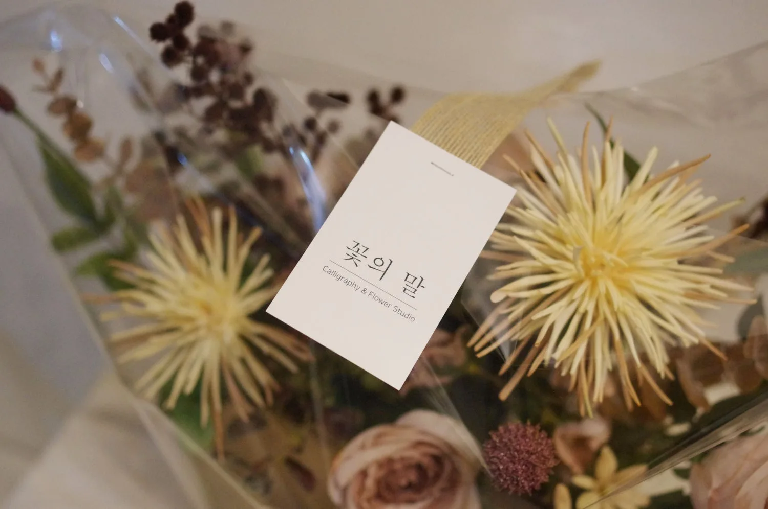 꽃의말 사진 6