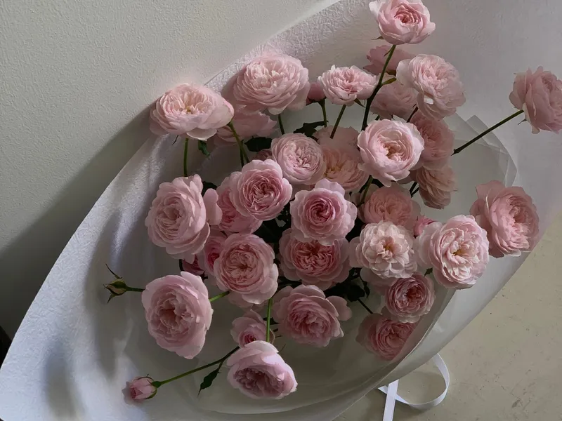 소로(SORO FLOWER) 사진 4