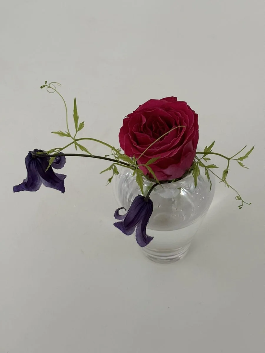 소로(SORO FLOWER) 사진 7