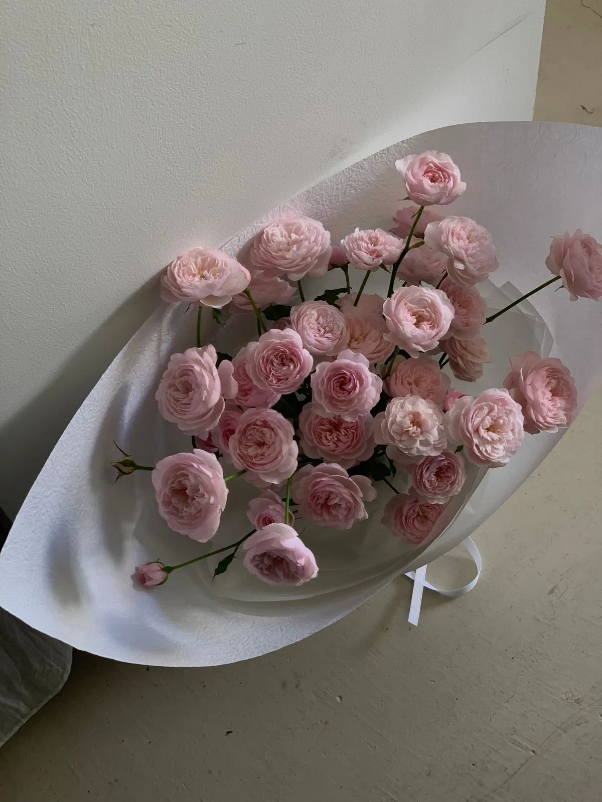 소로(SORO FLOWER) 사진 4