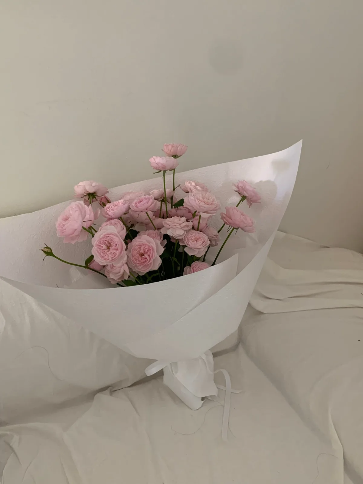 소로(SORO FLOWER) 사진 5