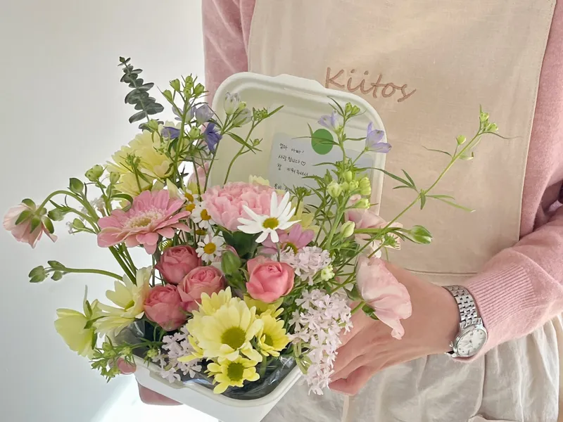 키토스 사진 4