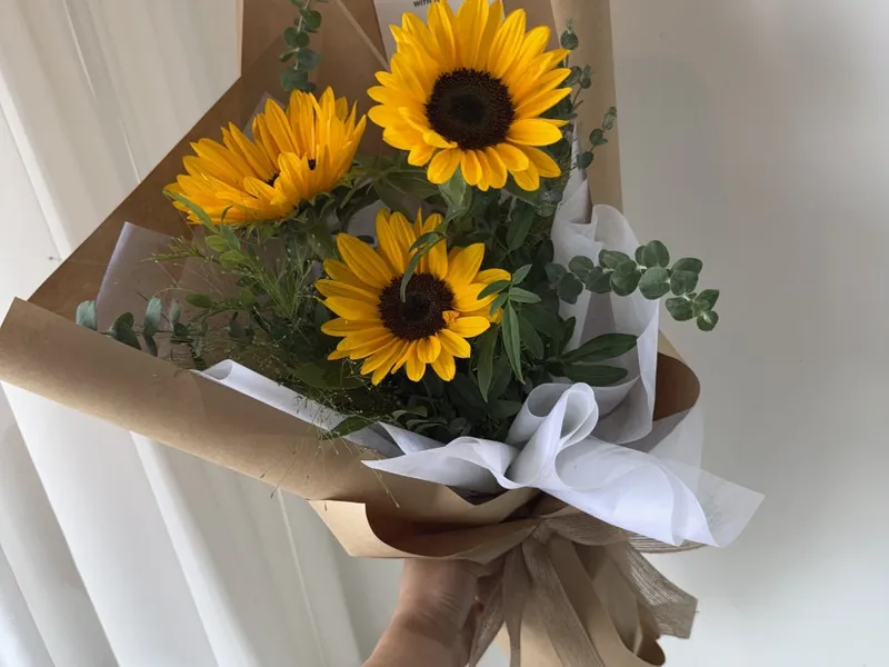 블라썸에이치 사진 4