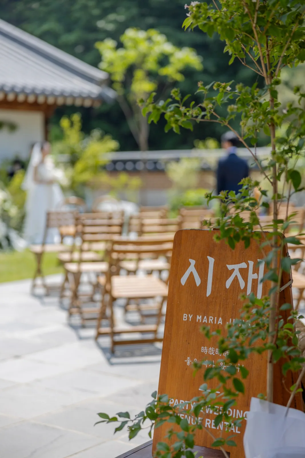 시재바이마리아정 사진 6