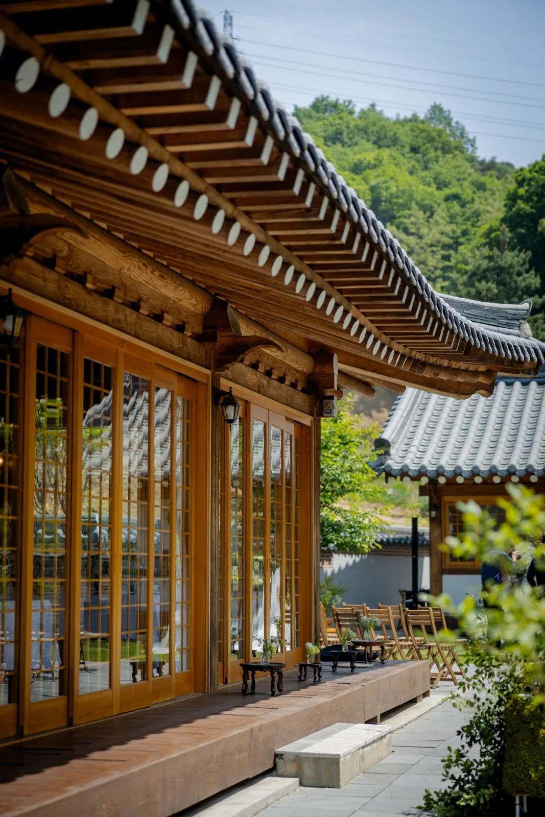 시재바이마리아정 사진 2