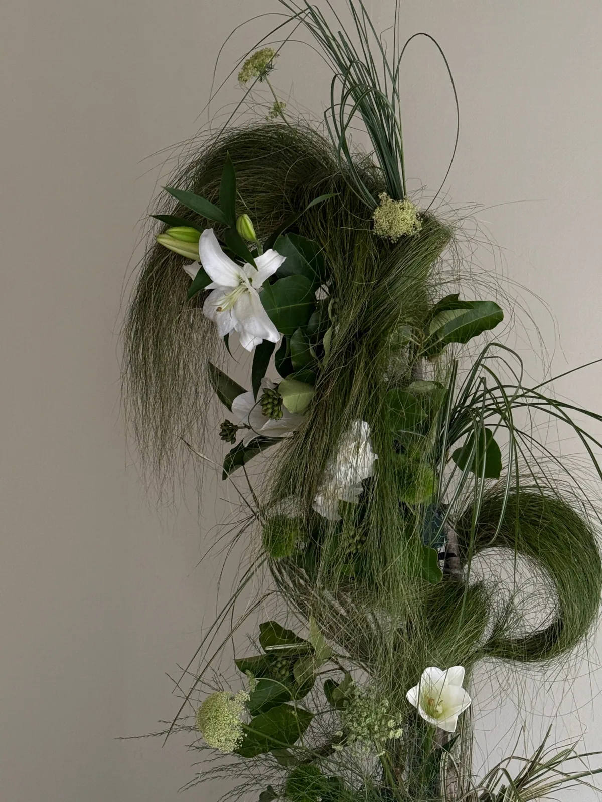 보타니크플라워 (botaniqueflower) 사진 6