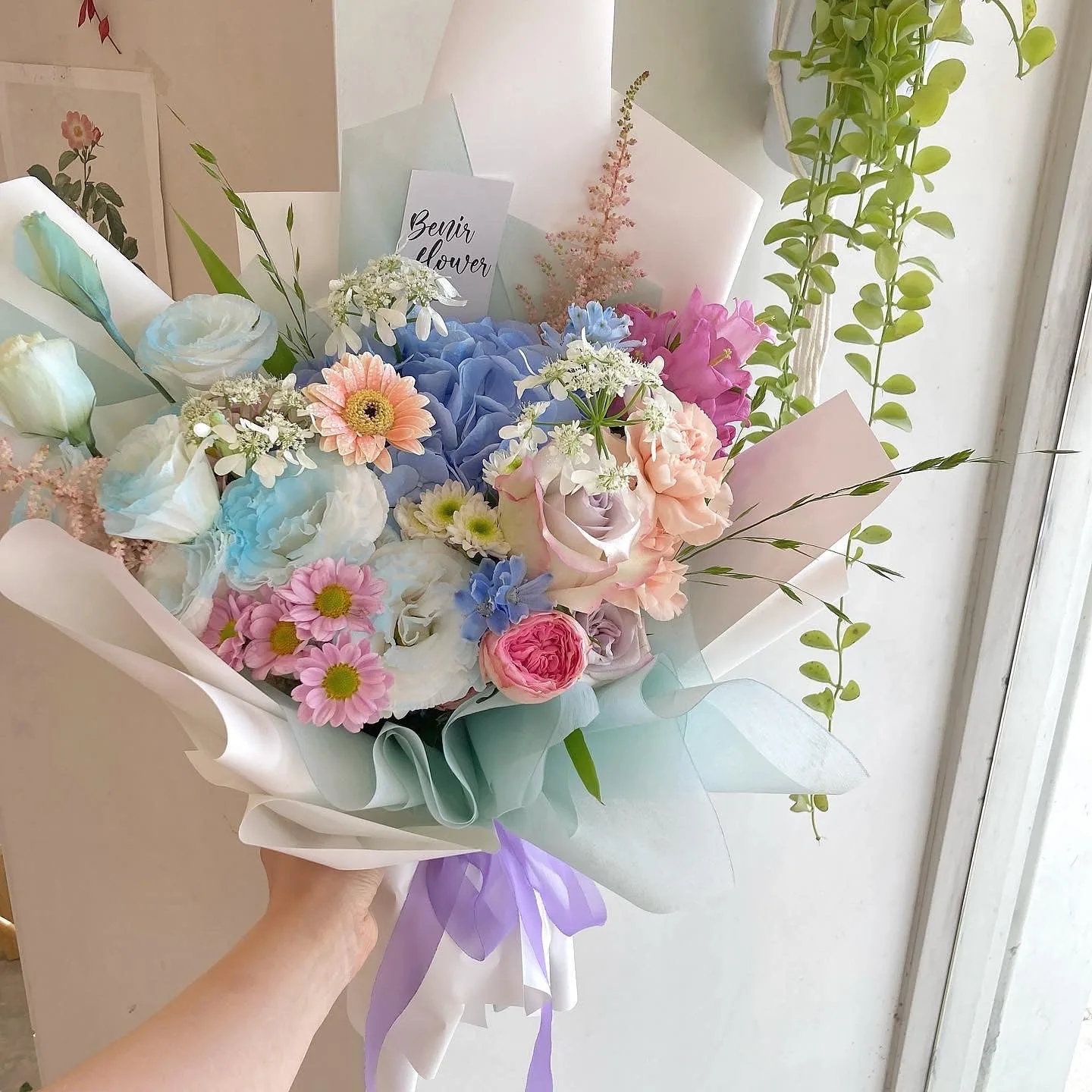 베니플라워(BENIR FLOWER) 사진 4