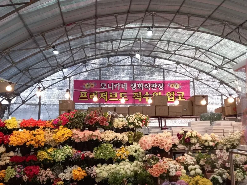 모니카네생화직판장 사진 1