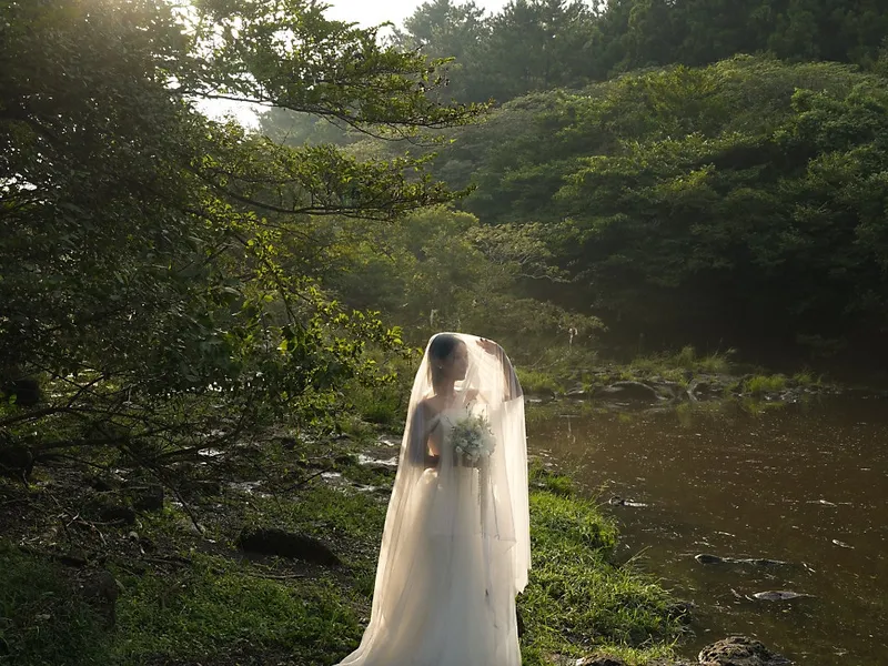 노벤 사진 1