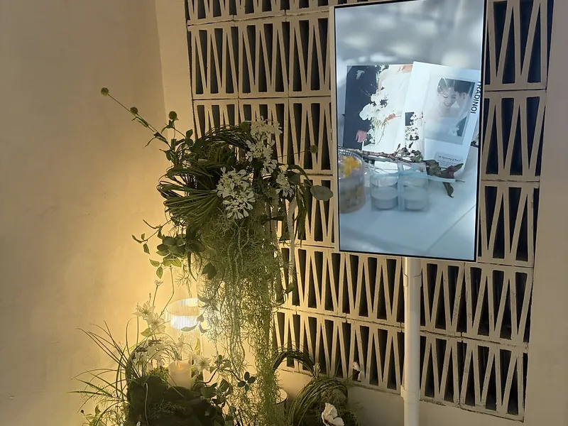 트라디노이 사진 4