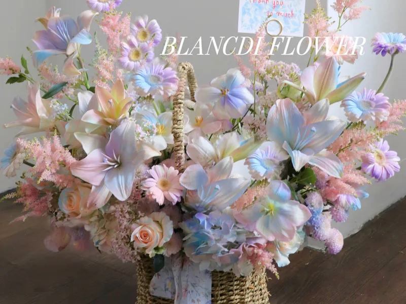 블랑디 (BLANCDI) 사진 4