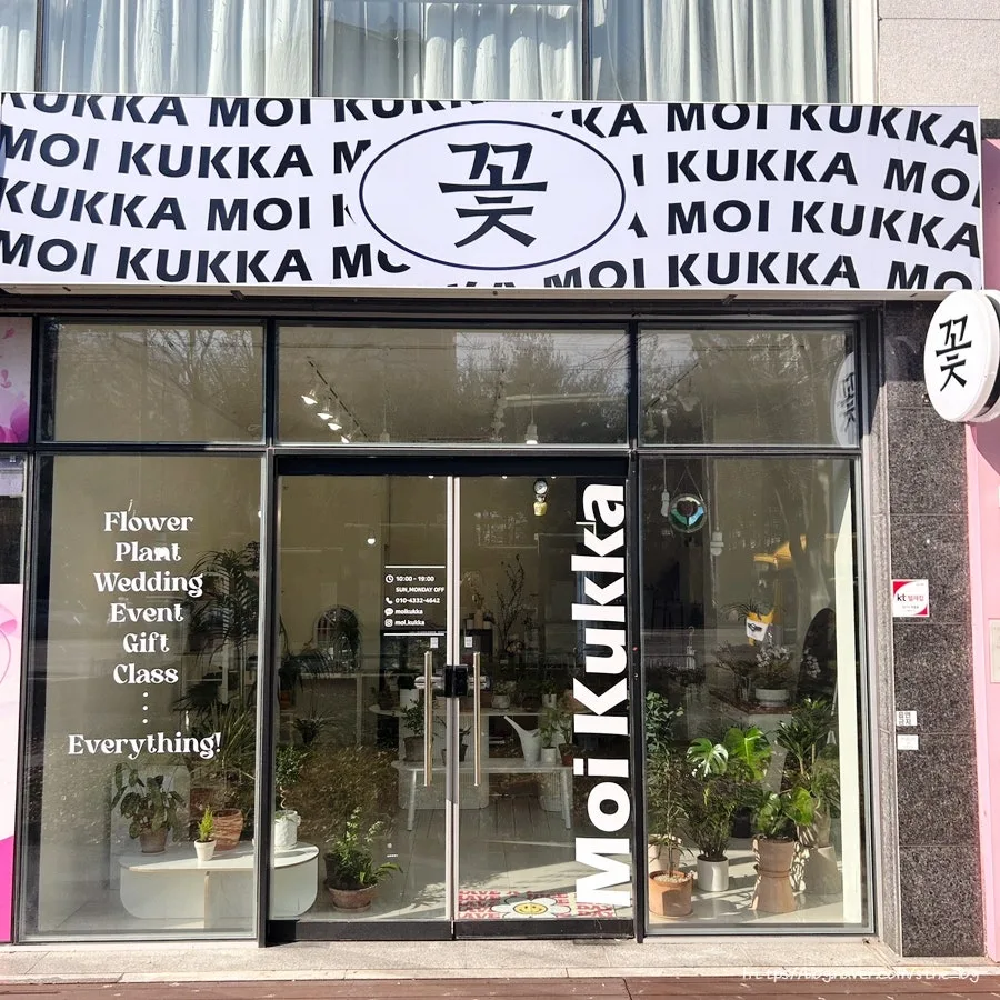 모이꾸까 사진 4