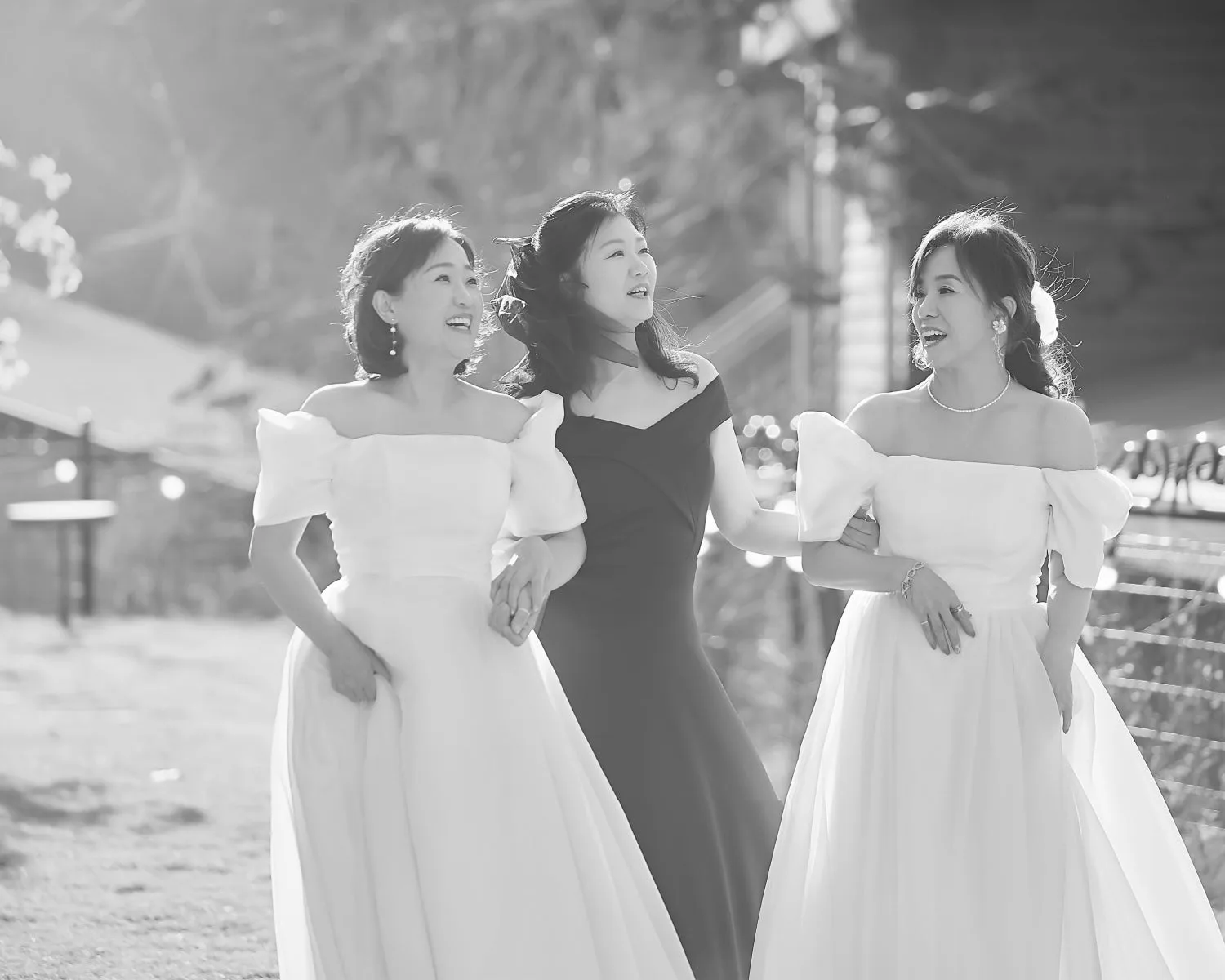 화이트아프리카(WHITEAFRICA) 사진 2
