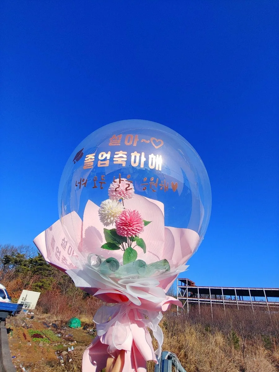 꿈의풍선 수상한MC(진주) 사진 3