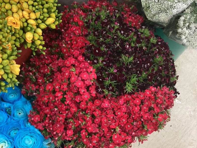 생화당 사진 2