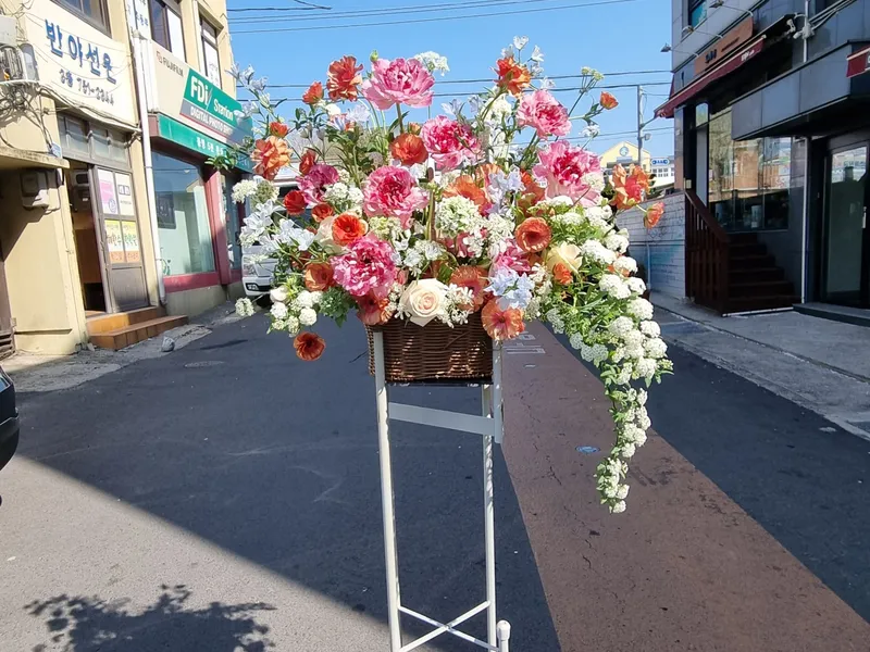 오색꽃집(주연플라워) 사진 3