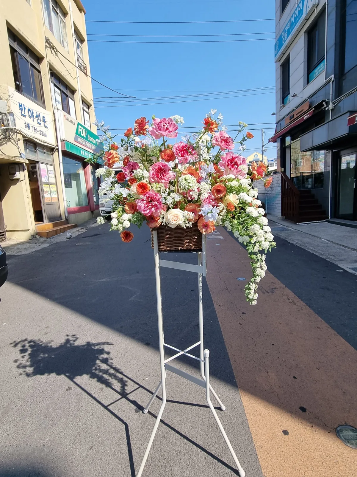 오색꽃집(주연플라워) 사진 3