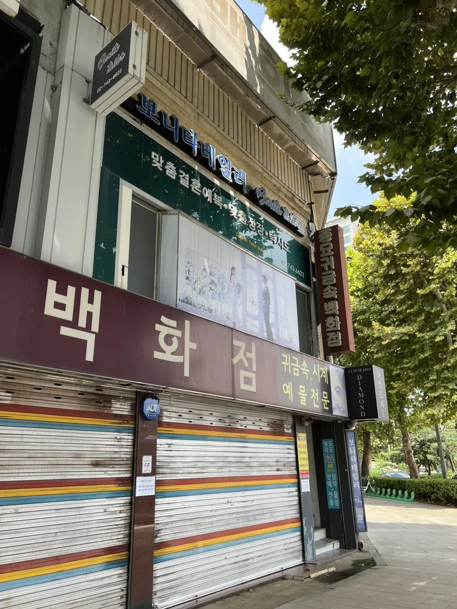 보니타테일러 종로 사진 5