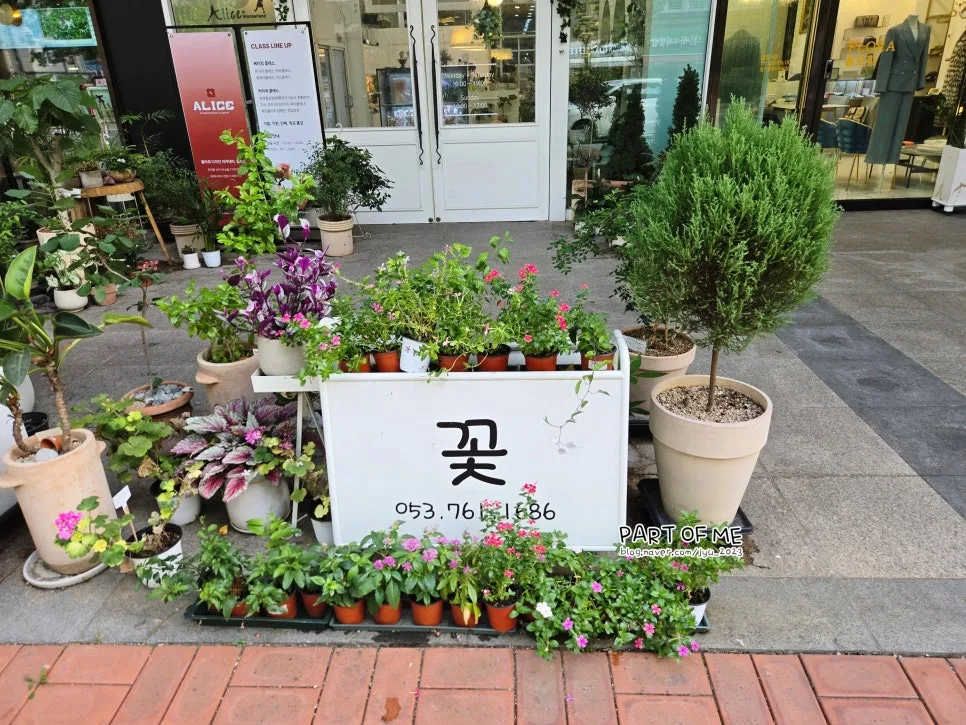 앨리스플라워 사진 7