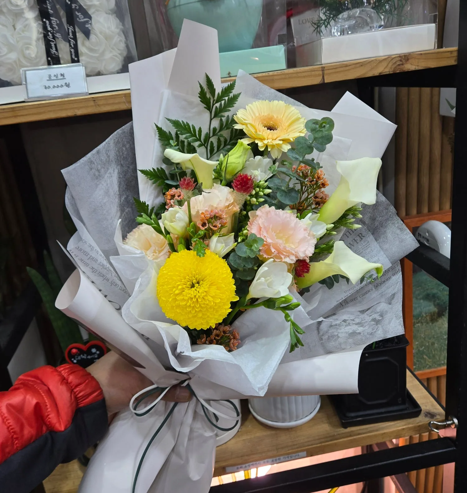 둘리화원 사진 3
