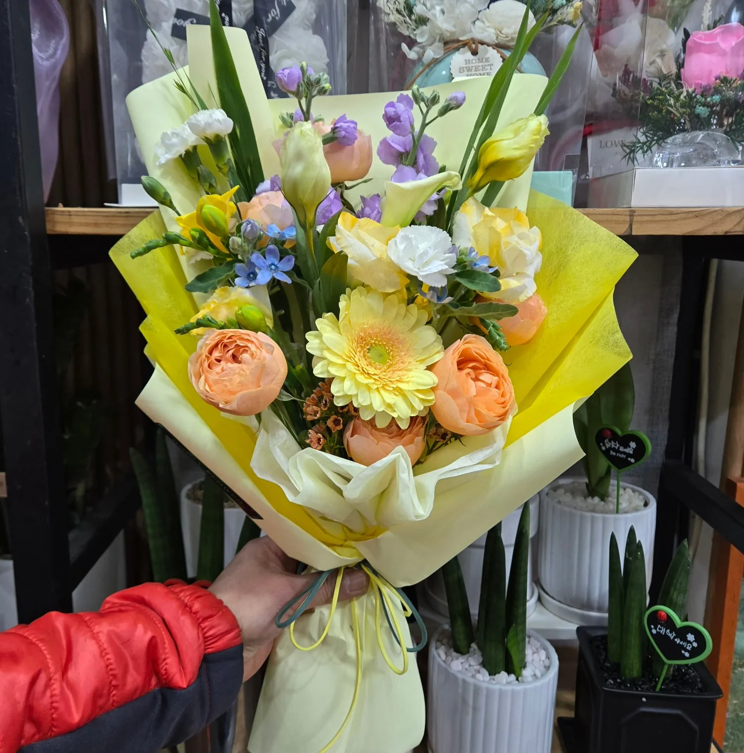 둘리화원 사진 6