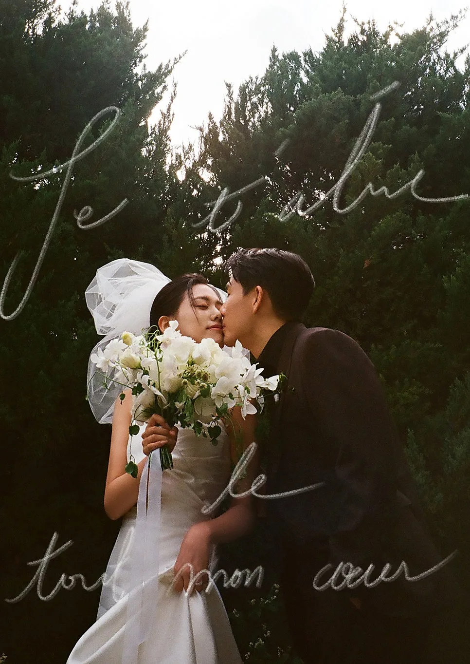비밀의화원 사진 4