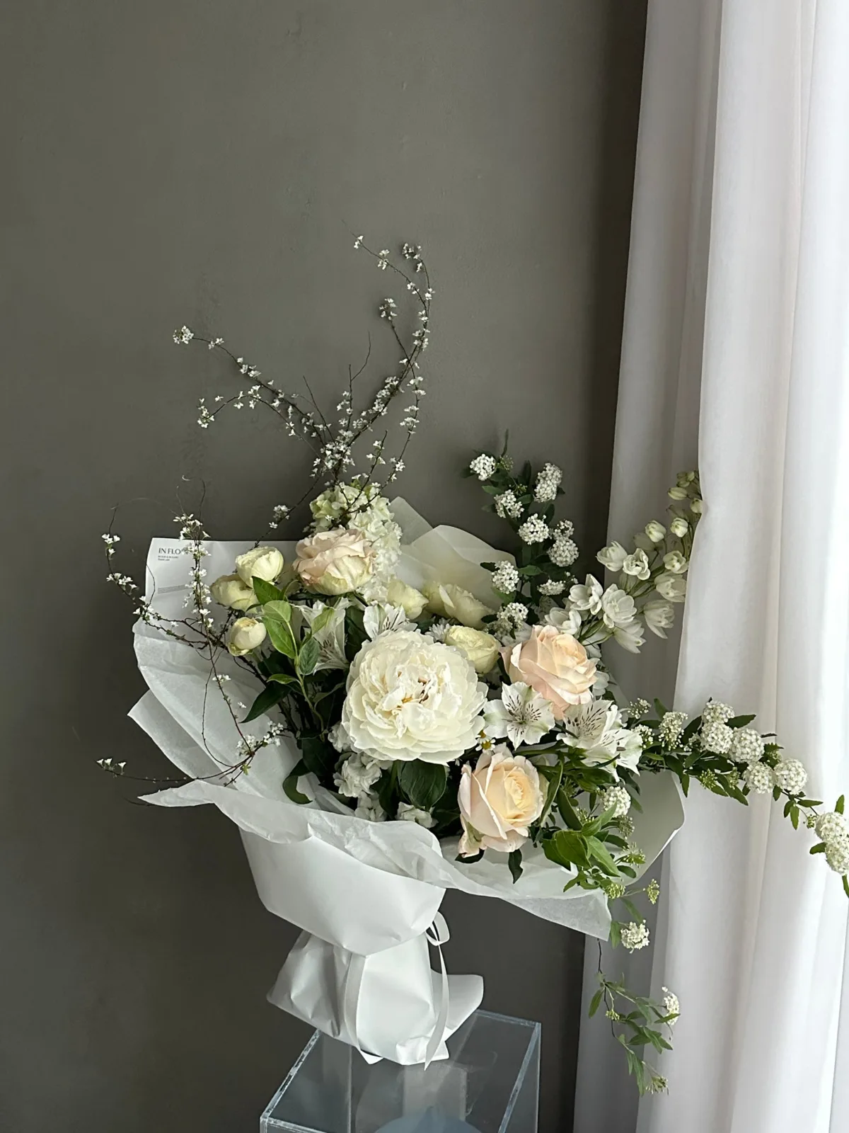 인플로리 사진 6