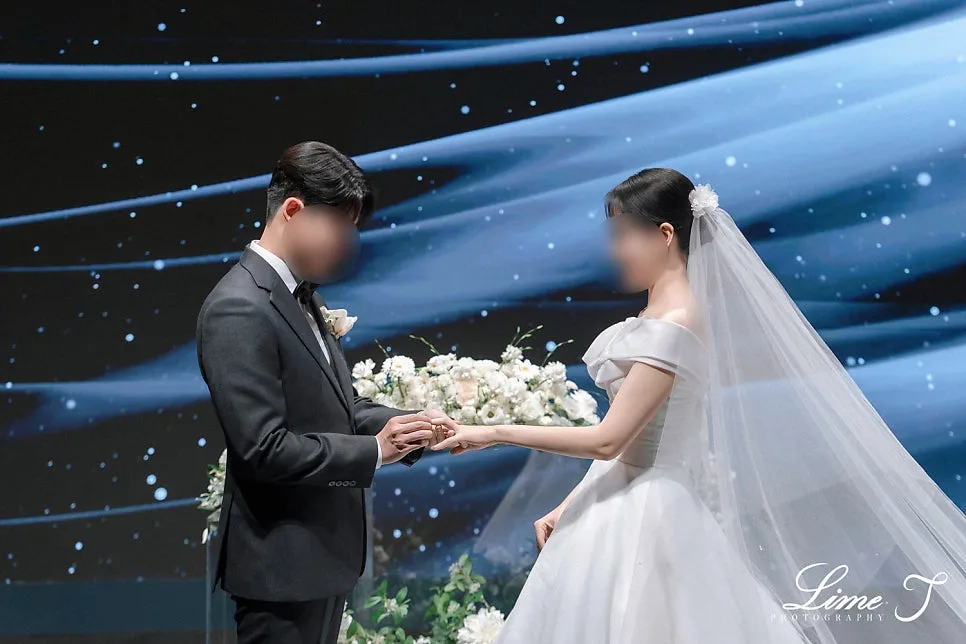 라임제이 사진 2