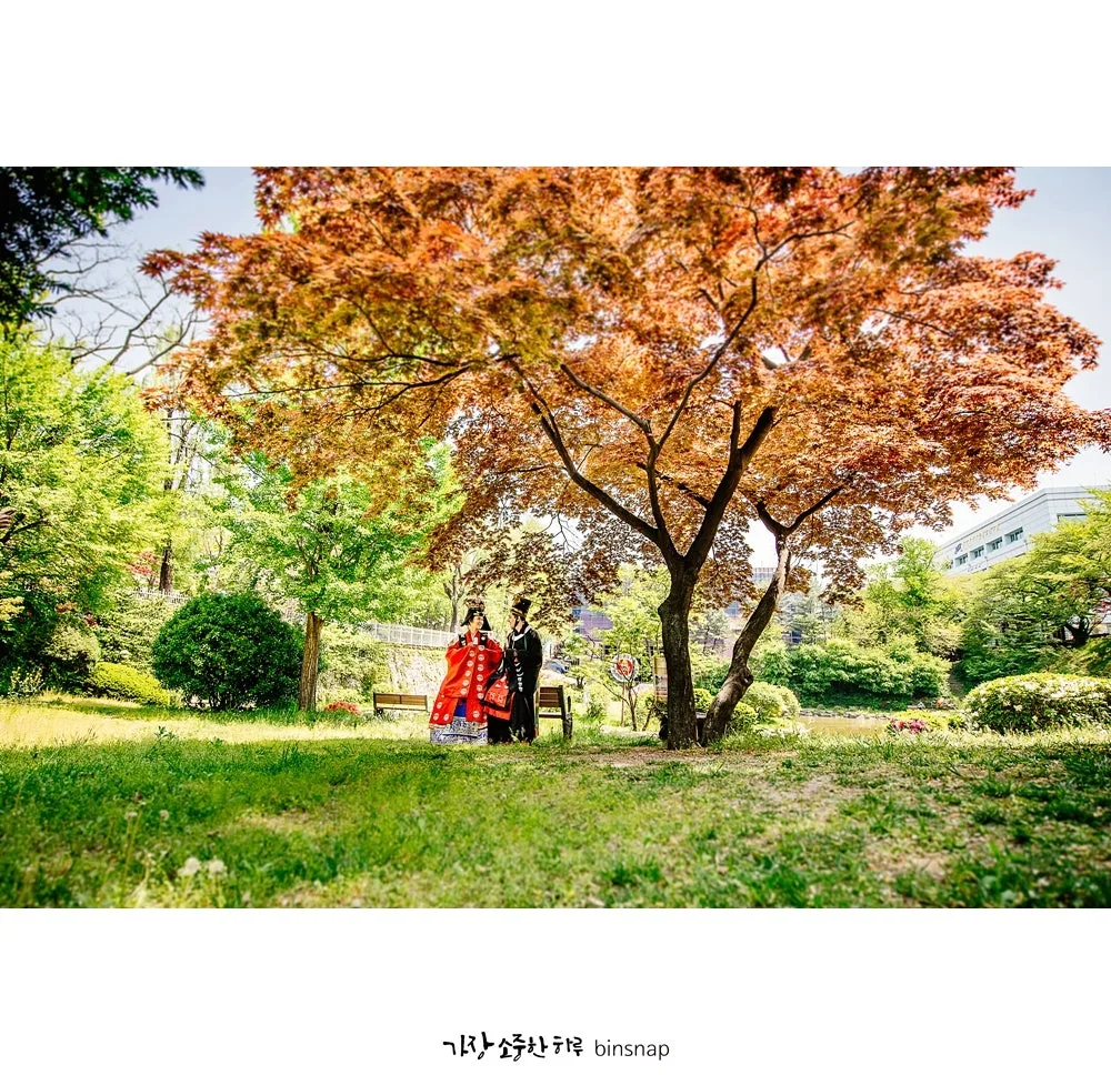 빈스냅 사진 3