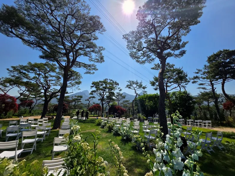 관세비스타 사진 1