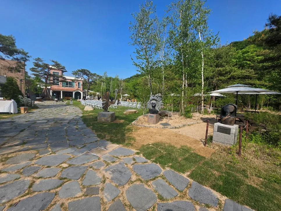 관세비스타 사진 5