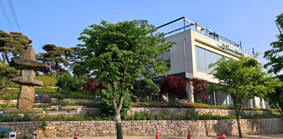 관세비스타 사진 7