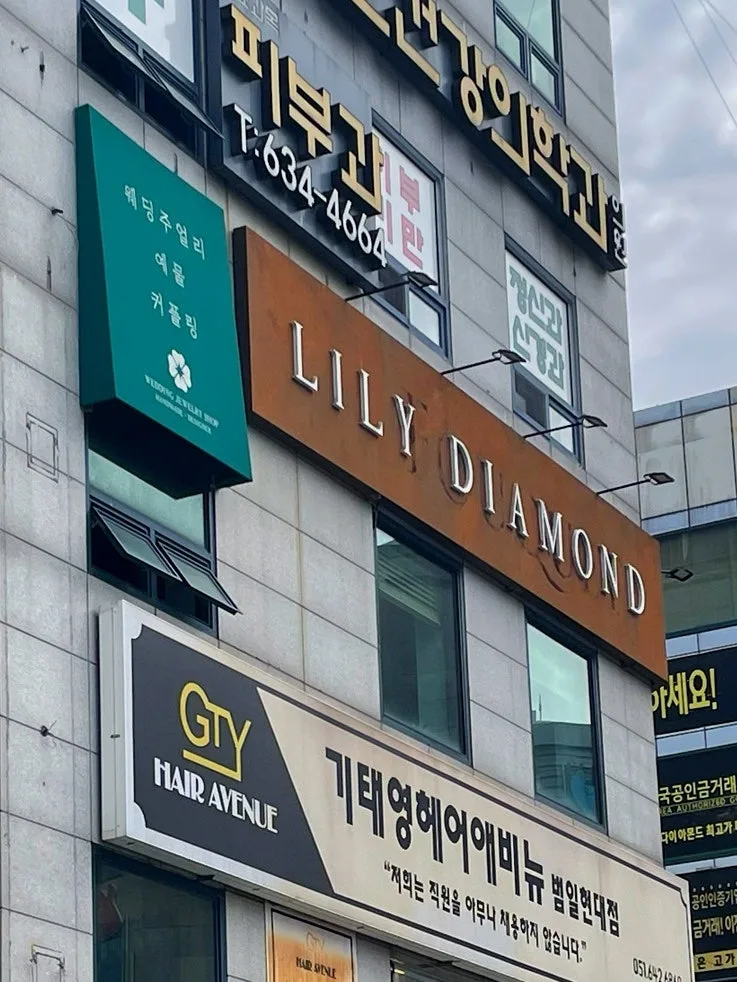 릴리다이아몬드 (Lily Diamond) 사진 6