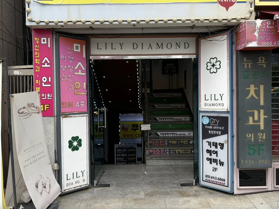 릴리다이아몬드 (Lily Diamond) 사진 7