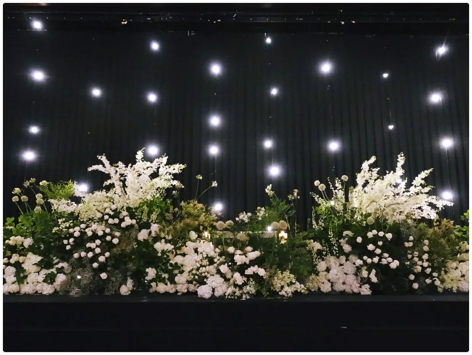 더뮤직(the music) 사진 2
