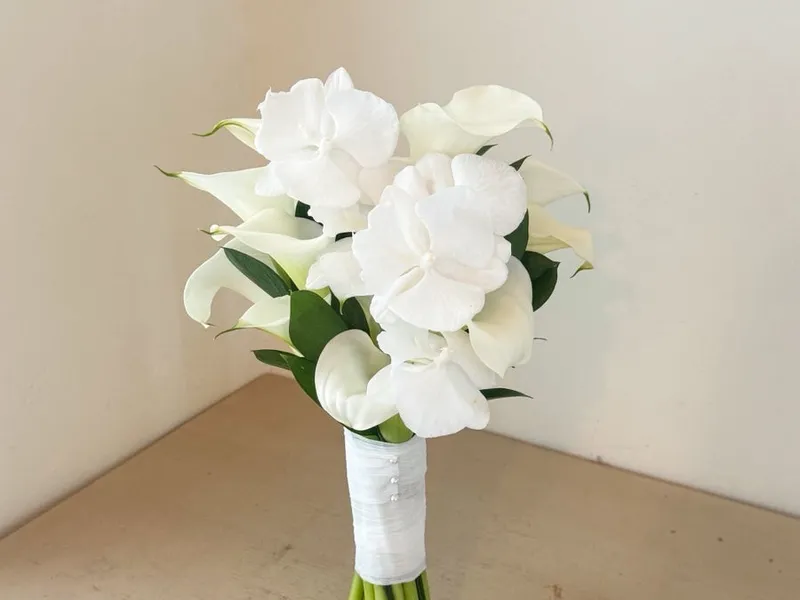 Iltuo flower 사진 4