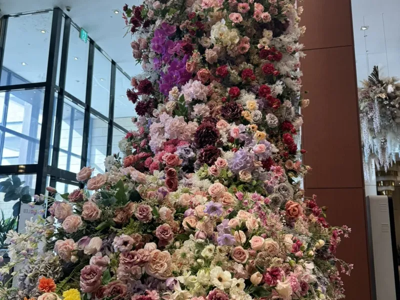 베리온 사진 1