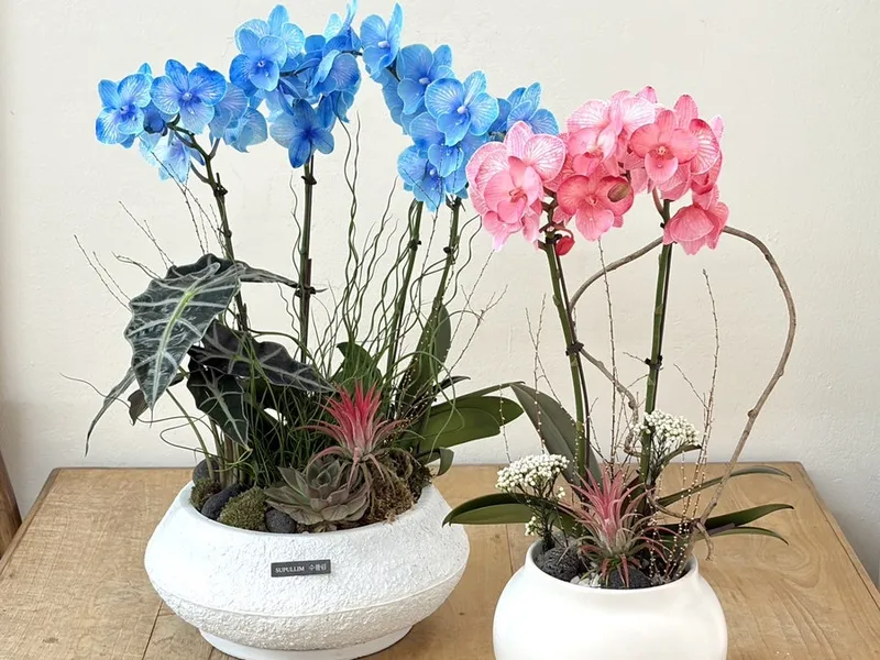 수풀림(林) 사진 1