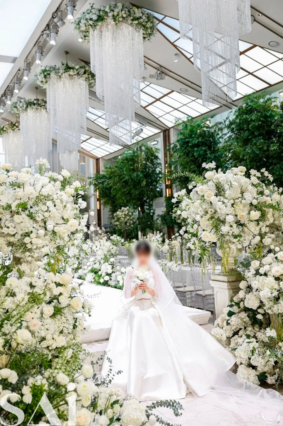 사이그라피 사진 2