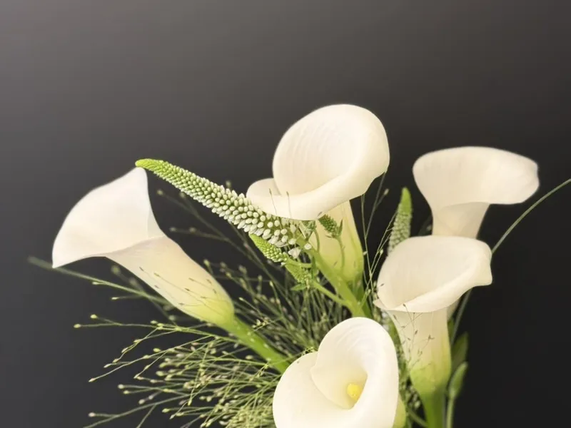메종홀티(Maison Horti) 사진 1