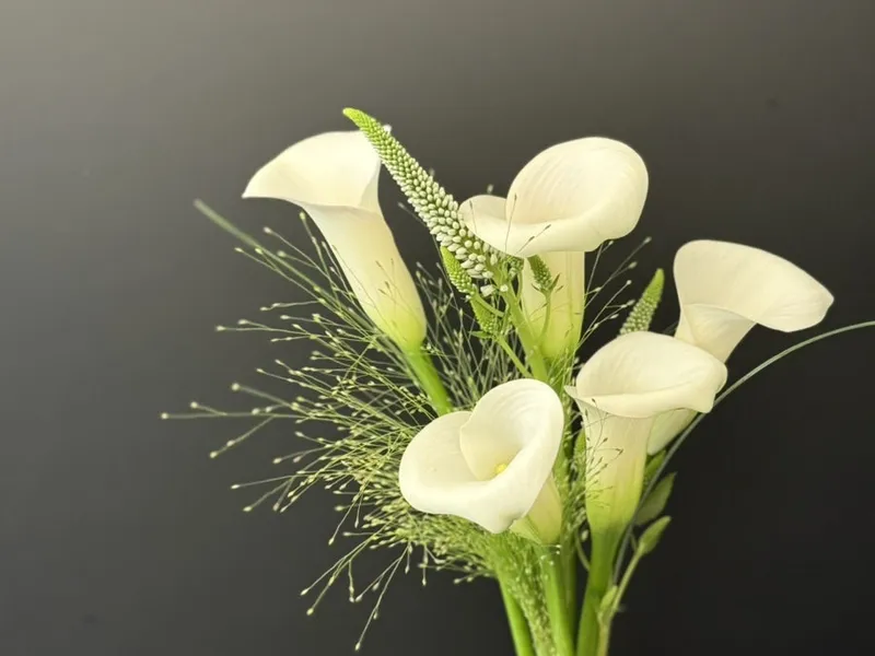 메종홀티(Maison Horti) 사진 2