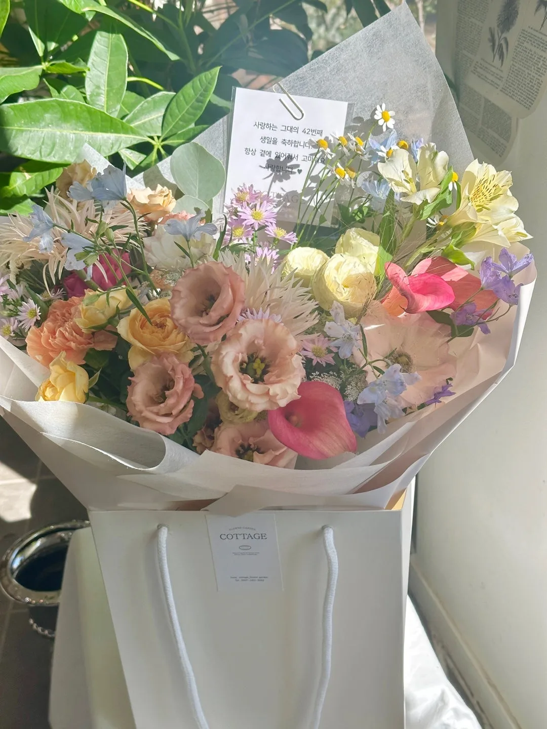 코티지플라워가든(cottage flower garden) 사진 6