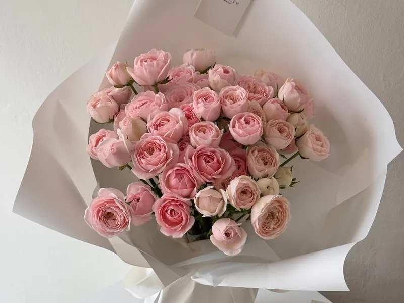 풀루브(Fulloove) 사진 2