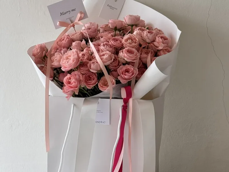 풀루브(Fulloove) 사진 3
