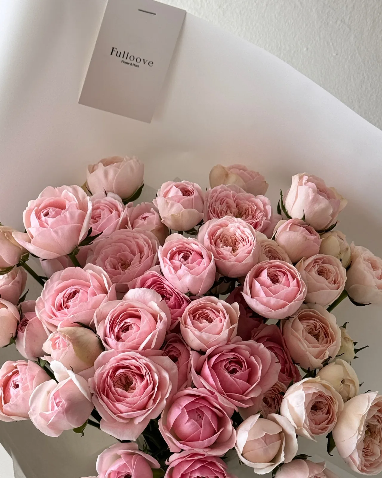 풀루브(Fulloove) 사진 5