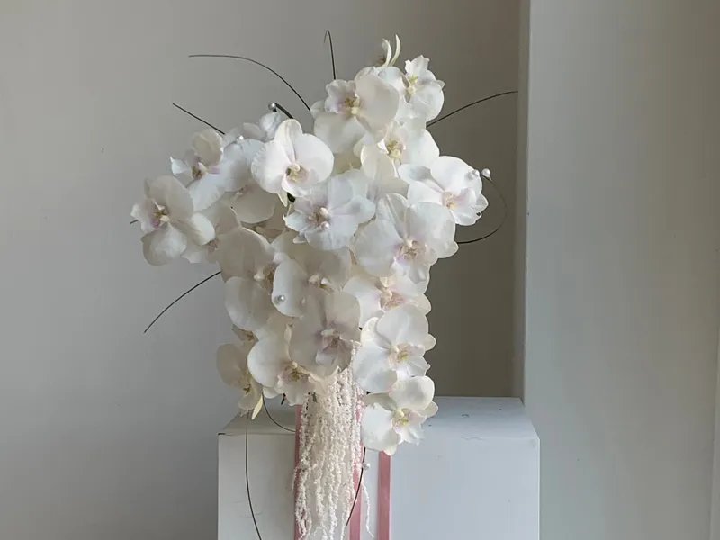 매일그대화(Evereve) 사진 1